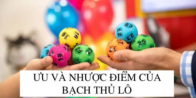 Bạch thủ lô có ưu điểm và nhược điểm gì?