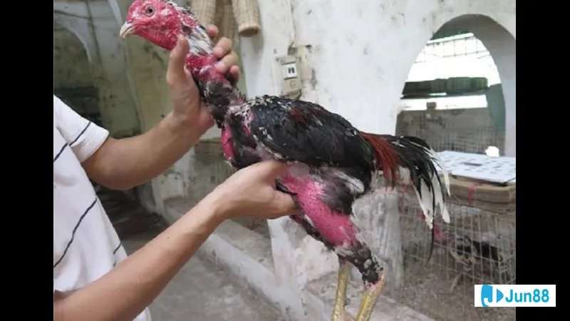 Khoảnh khắc về môi trường an toàn