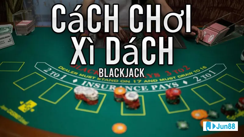 Nhân viên nhà cái đang kiểm tra dữ