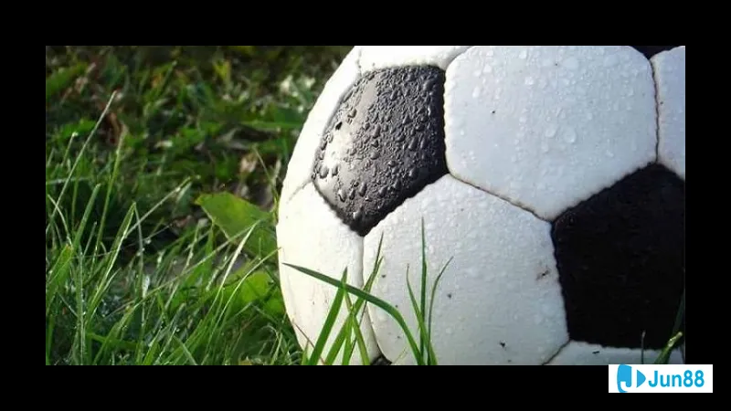 Minh họa cho Kèo châu Âu trong bài Minh họa cho Kèo châu Âu trong bài