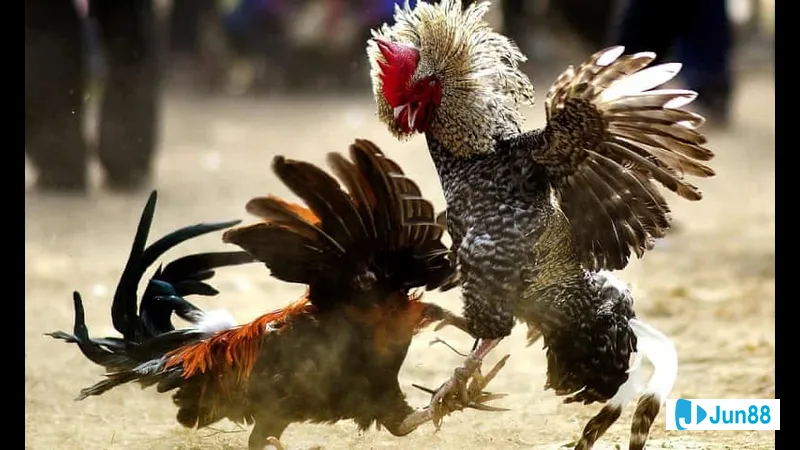 Chế độ dinh dưỡng sức khỏe