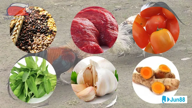 Dinh dưỡng hợp lý cho sức khỏe Dinh dưỡng hợp lý cho sức khỏe