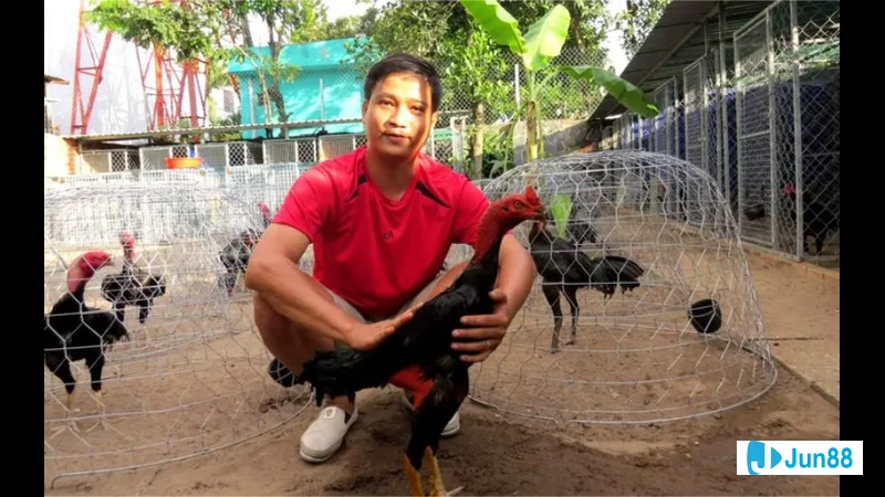 Môi trường sống và chuồng trại lý tưởng